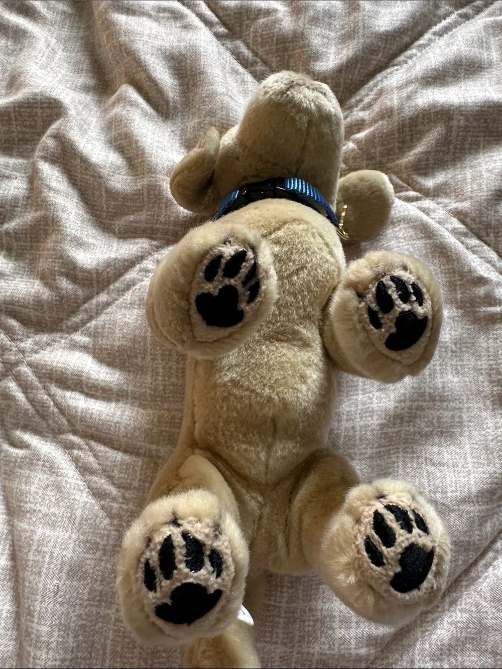 Plush Cream Puppy Stuffed Animal with Blue Collar